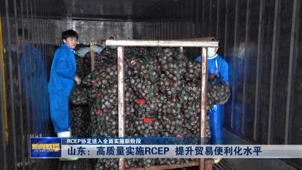 RCEP協定進入全面實施新階段——山東高質量實施RCEP提升貿易便利化水平，推動貨物進出口發展